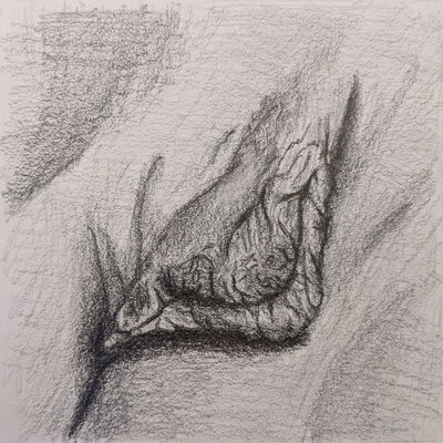 2021-04-20_Labia-sketch1.small