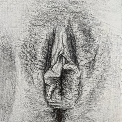 2021-04-20_Labia-sketch2.small
