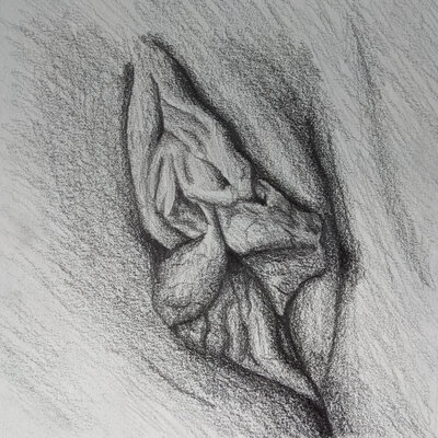 2021-04-20_Labia-sketch4.small