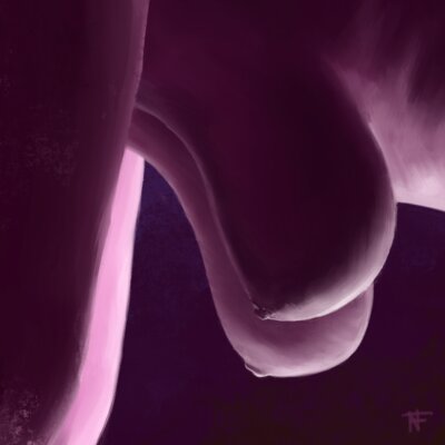 2024-12-03_Gravity.png.small